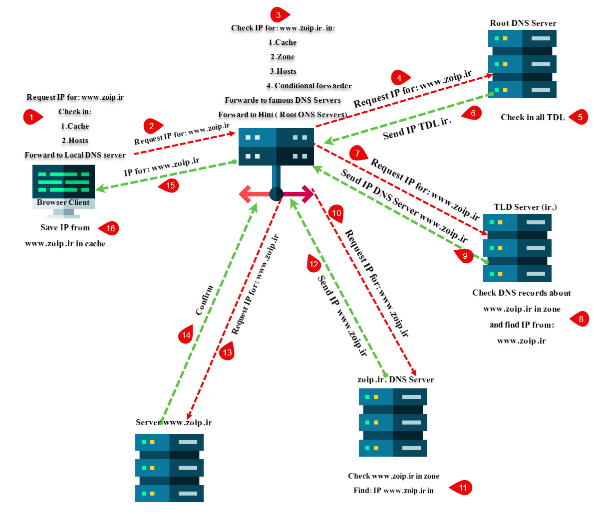 DNS-function