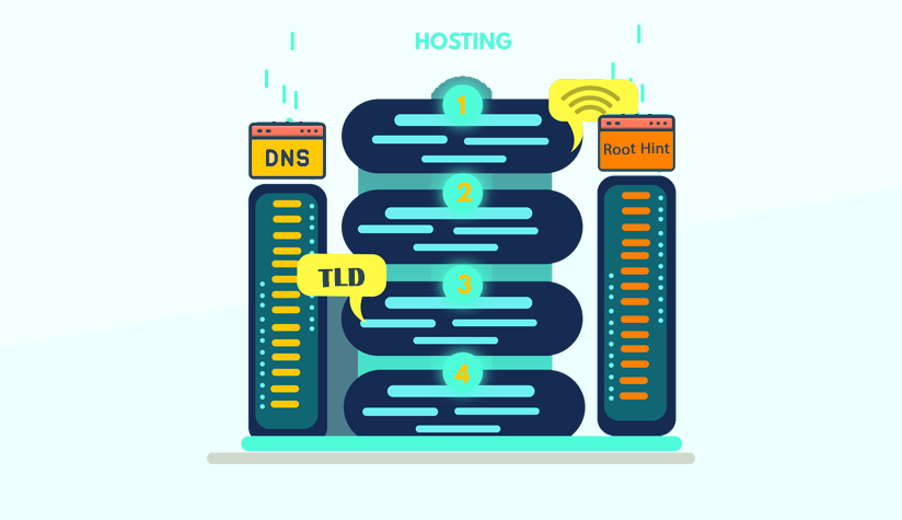 DNS-functoin