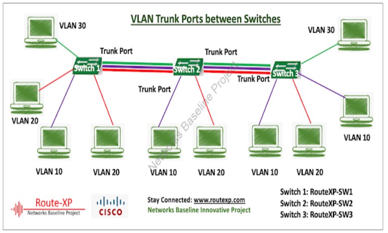 Trunk port