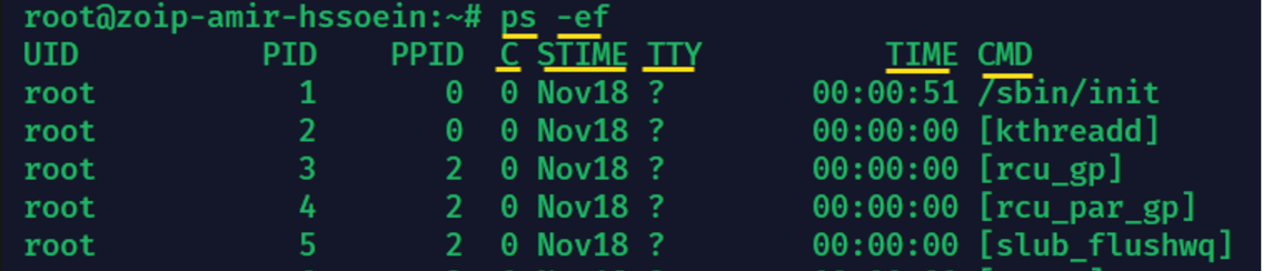 processes-in-linux-ps-ef-gerp