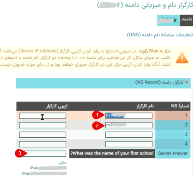 park-domain-dns