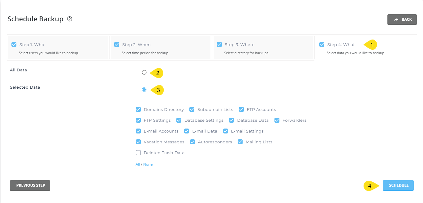 backup-directadmin-schedule-what