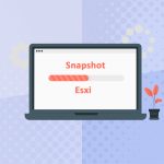 take-snapshot-in-esxi