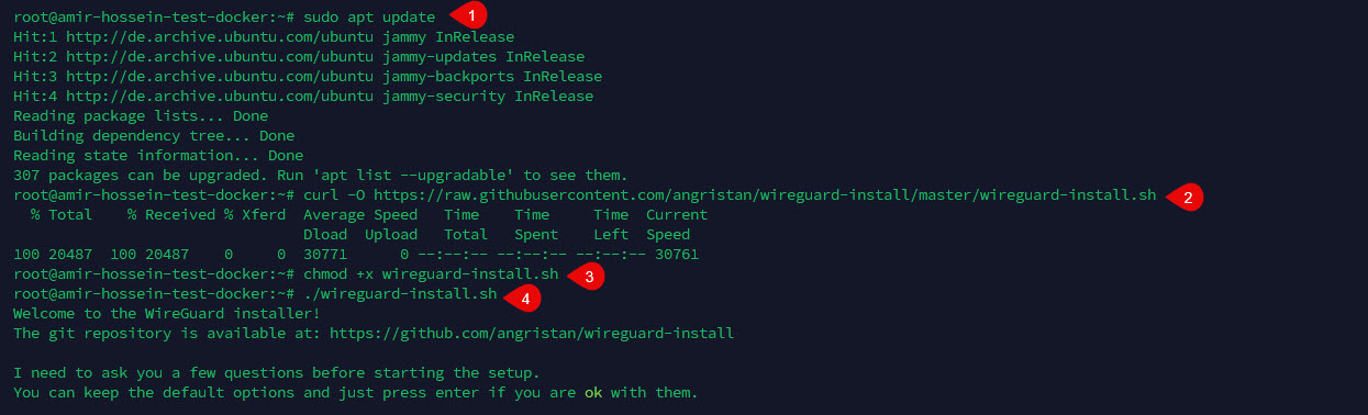 iran-vps-vpn-setup-guide-expats-screanshote steps of istall wireguad-1